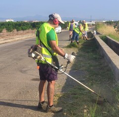 Limpieza de caminos