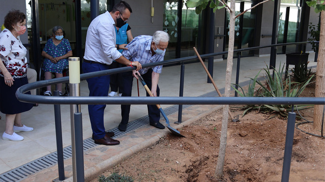 Vila-real conmemora el Da Mundial del Alzheimer con la plantacin de un Ginkgo biloba en el centro de da Mol la Vila 