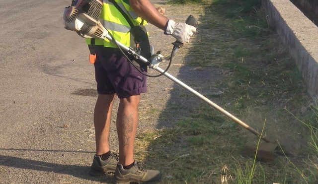 Trabajos de desbroce de caminos rurales