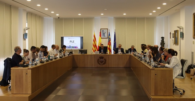 Pleno de 11 de octubre de 2022