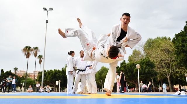 Exhibicin de Judo