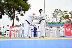 Exhibicin de Judo_1