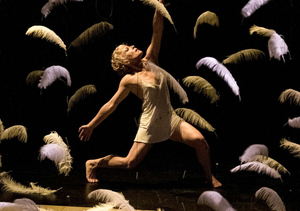 Dansa: Malditas plumas