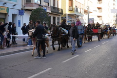 Romeria de carros i cavalls en el 50 aniversari de la Matx