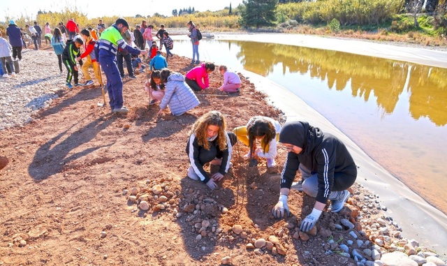 El Consorcio del Millars celebra el Da del rbol