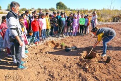 El Consorcio del Millars celebra el Da del rbol_1