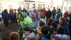 Celebraci del Dia de l'Arbre als collegis de la ciutat