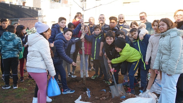 Celebracin del Da del rbol en los colegios de la ciudad _1