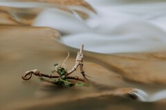 Premiats en el concurs de fotografia 'Una ullada al Millars'_1