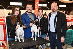 IV Concurso Nacional Canino Ciudad de Vila-real