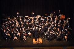 Concert de la Lira amb motiu del 175 aniversari de la banda de msica de Vila-real_2