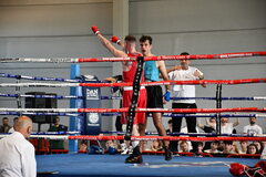 Campionat de boxa olmpica