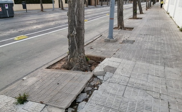 Daños causados por los árboles en las aceras del camino Ermita_1