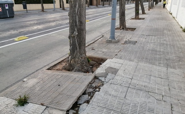 Daos causados por los rboles en las aceras del camino Ermita_1