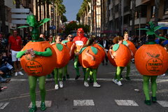 Cabalgata de Fiestas _6