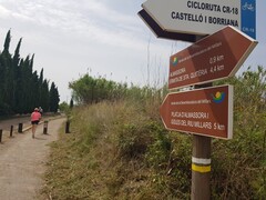 Treballs de retirada de canyes als camins i rutes del paratge del Millars_1