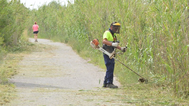 Trabajos de retirada de caas en los caminos y rutas del paraje del Millars_2