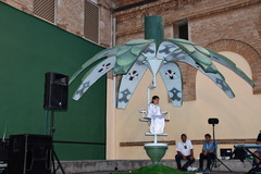 Festa del Carme_1