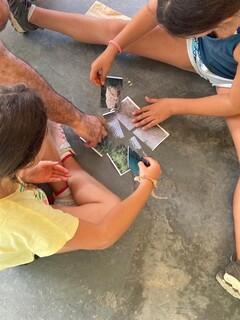 Visitas guiadas y gincanas familiares en el Termet_1