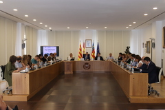 Ple ordinari del 29 de setembre de 2023