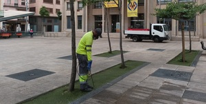 Tractament de prevenci contra els mosquits