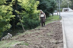 Reunin para el control de jabals en el Termet