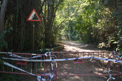 Ruta botnica tancada pel vent