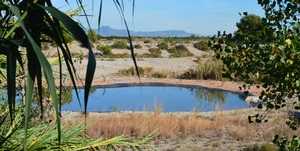 Llacuna artificial del Millars