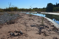 Laguna artificial del Mijares_1