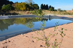 Laguna artificial del Mijares_2