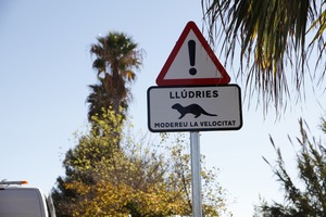 Senyal d'advertncia de lldries