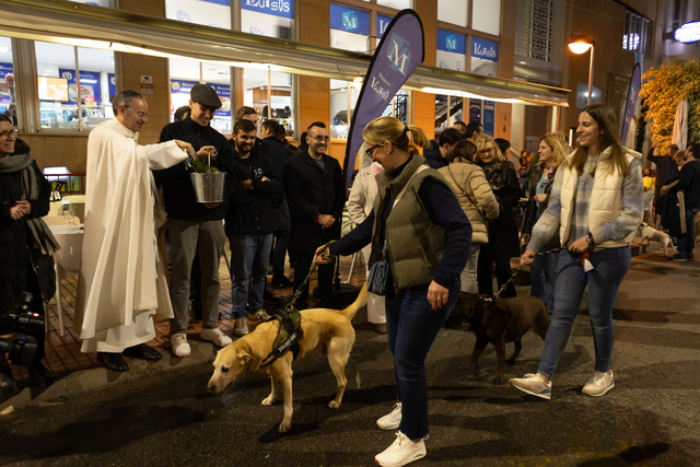 Matx de Sant Antoni de 2024_3