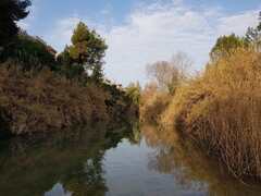 Paisaje protegido de la desembocadura del Mijares