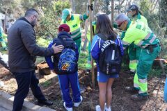 Dia del rbol y conmemoracin del centenario de la plantacin de pinos en el Termet_1