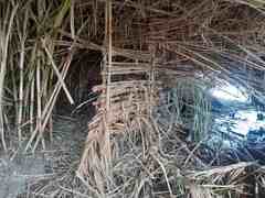 Artefactos de caza furtiva desmantelados en el paisaje protegido del Mijares_1