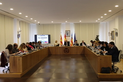 Pleno ordinario del mes de febrero de 2024_1