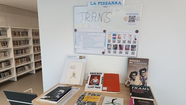 La Pissarra, de la Biblioteca central