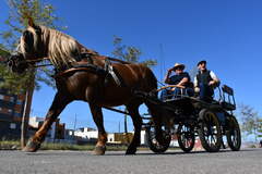 Volta amb carro per Vila-real_3