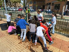 Plantaci d'arbres al costat del collegi Cervantes