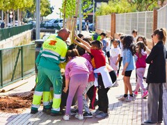 Plantaci d'arbres al costat del collegi Cervantes_1