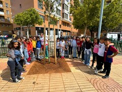 Plantacin de rboles junto al colegio Cervantes_2