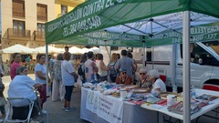 Caravana de prevencin del melanoma