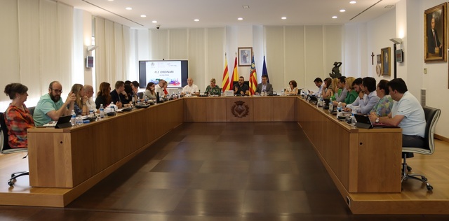 Ple ordinari del 26 de juny de 2024 
