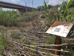 Incendio forestal en el Mijares_3