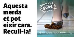 Campanya de conscienciaci davant els excrements i orins de gossos en la via pblica