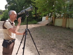 Censo de aviones comunes en el paisaje protegido del Millars_1