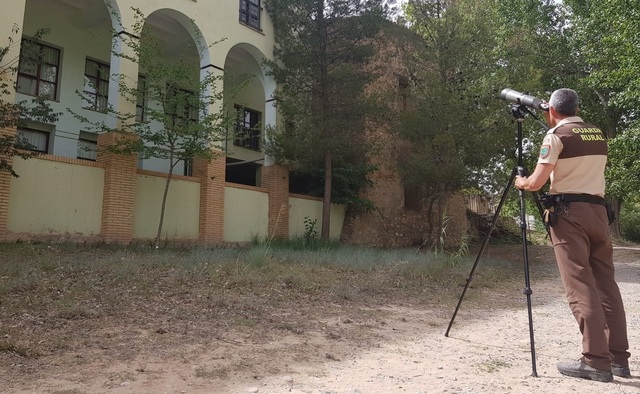 Censo de aviones comunes en el paisaje protegido del Millars_2