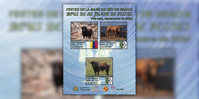 Cartell de bous de la Junta de Festes 