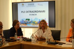 Comiat de Silvia Gmez