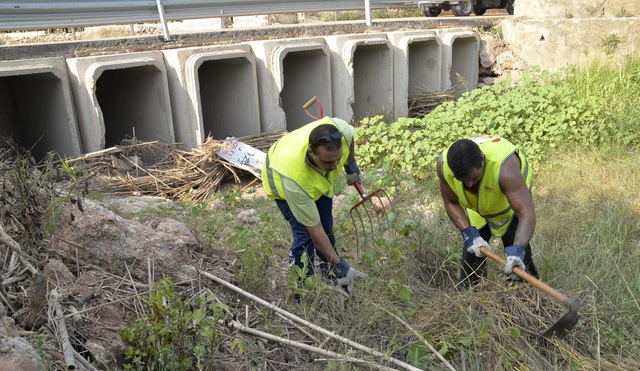 Trabajos de limpieza de barrancos